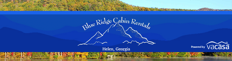 Blue Ridge Cabin Rentals One Bedroom